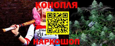 прущий лед Будённовск