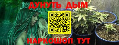 дмт Бузулук
