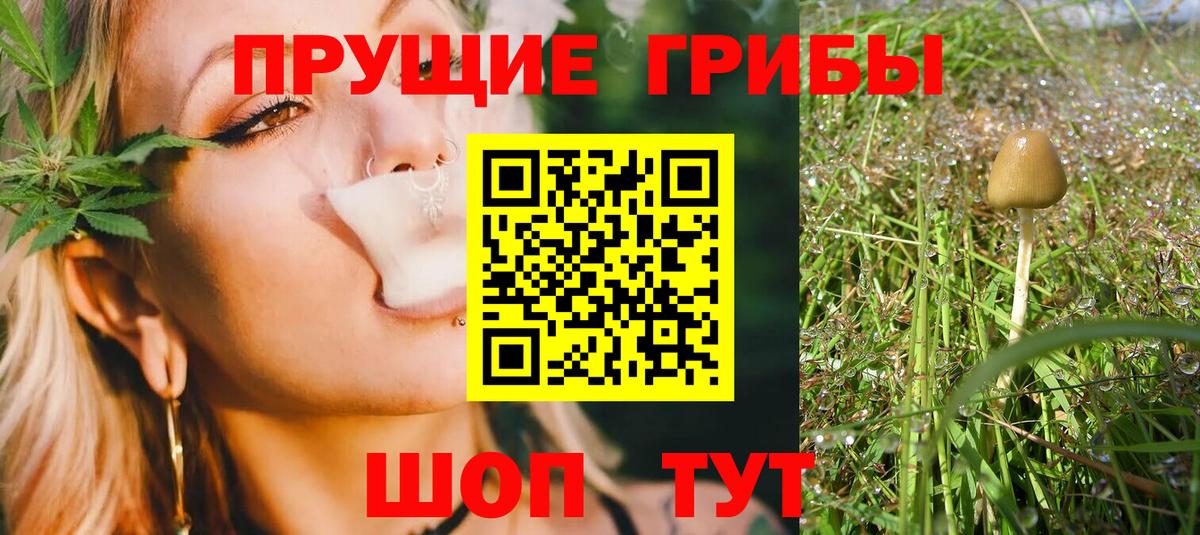 Псилоцибиновые грибы мицелий Лесозаводск